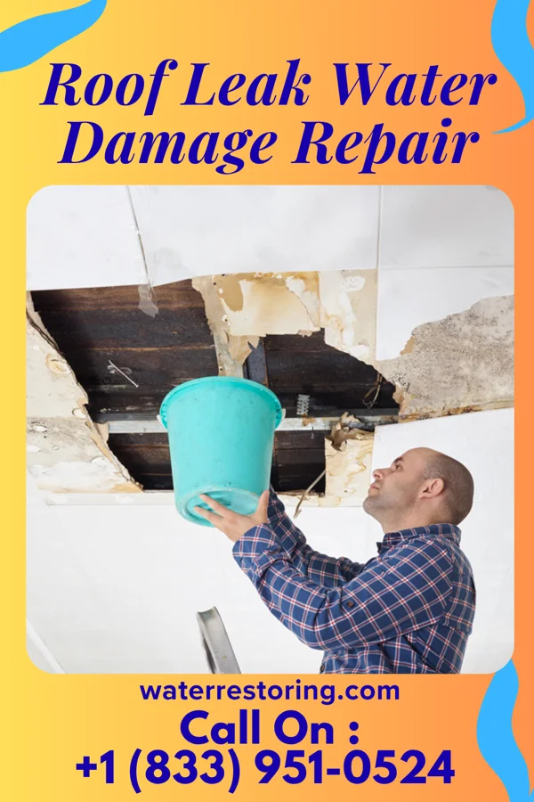 Roof Leak Water Damage Repair in Panola, IL