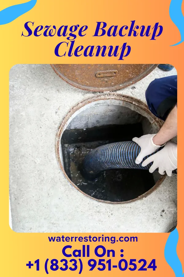 Sewage Backup Cleanup in Panola, IL